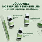 PRANARÔM - Tea Tree - Huile Essentielle Chémotypée - Défenses Naturelles - 100% Pure Et Naturelle - HECT - 10 ml