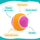 Aimé - Balle pour Chien 5 en 1 Saveur Bœuf - Jouet Interactif/Éducatif pour Développer et Stimuler les 5 Sens - Résistant Toutes Races et Tous Âges - Balle 6 cm