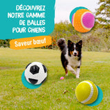 Aimé - Balle pour Chien 5 en 1 Saveur Bœuf - Jouet Interactif/Éducatif pour Développer et Stimuler les 5 Sens - Résistant Toutes Races et Tous Âges - Balle 6 cm