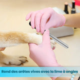 Candure Coupe Ongles Chien pour Coupe Griffes Chien Et Coupe Ongle Chat- Acier Inoxydable Chien Toilettage Coupe Ongles pour Animaux De Compagnie (Bleu, Grand à Moyen)