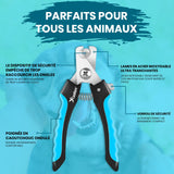 Candure Coupe Ongles Chien pour Coupe Griffes Chien Et Coupe Ongle Chat- Acier Inoxydable Chien Toilettage Coupe Ongles pour Animaux De Compagnie (Bleu, Grand à Moyen)