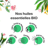 Voshuiles - Huile Essentielle Citronnelle Bio 10ml - Parfum Citronné d'Agrumes - Largement Utilisée et Appréciée - Huiles Essentielles de Qualité - 100% Pure et Naturelle - HEBBD et Certifiée ECOCERT