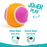 Aimé - Balle pour Chien 5 en 1 Saveur Bœuf - Jouet Interactif/Éducatif pour Développer et Stimuler les 5 Sens - Résistant Toutes Races et Tous Âges - Balle 6 cm