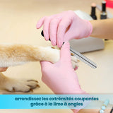 Candure Coupe Ongles Chien pour Coupe Griffes Chien Et Coupe Ongle Chat- Acier Inoxydable Chien Toilettage Coupe Ongles pour Animaux De Compagnie (Bleu, Grand à Moyen)