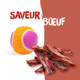 Aimé - Balle pour Chien 5 en 1 Saveur Bœuf - Jouet Interactif/Éducatif pour Développer et Stimuler les 5 Sens - Résistant Toutes Races et Tous Âges - Balle 6 cm