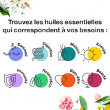 Voshuiles - Huile Essentielle Citronnelle Bio 10ml - Parfum Citronné d'Agrumes - Largement Utilisée et Appréciée - Huiles Essentielles de Qualité - 100% Pure et Naturelle - HEBBD et Certifiée ECOCERT