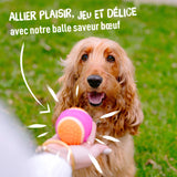 Aimé - Balle pour Chien 5 en 1 Saveur Bœuf - Jouet Interactif/Éducatif pour Développer et Stimuler les 5 Sens - Résistant Toutes Races et Tous Âges - Balle 6 cm