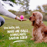Aimé - Balle pour Chien 5 en 1 Saveur Bœuf - Jouet Interactif/Éducatif pour Développer et Stimuler les 5 Sens - Résistant Toutes Races et Tous Âges - Balle 6 cm
